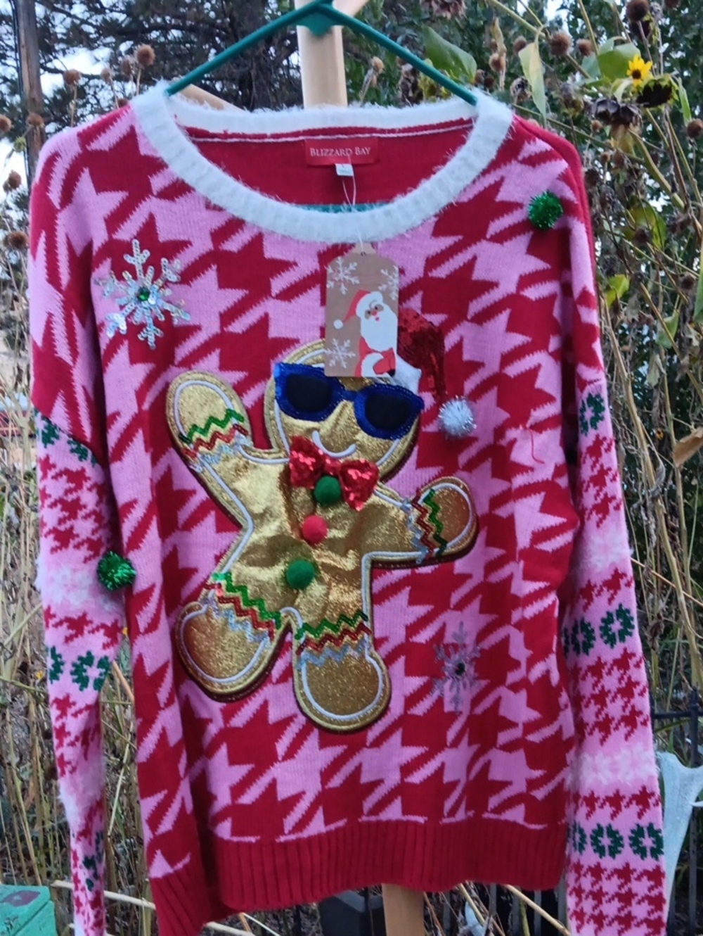 Blizzard Bay Women's Red & Pink Gingerbread Crewneck Sweater